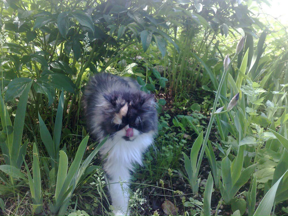 Александра Якушева | Тольятти