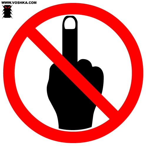 Иван Кондратюк | Санкт-Петербург