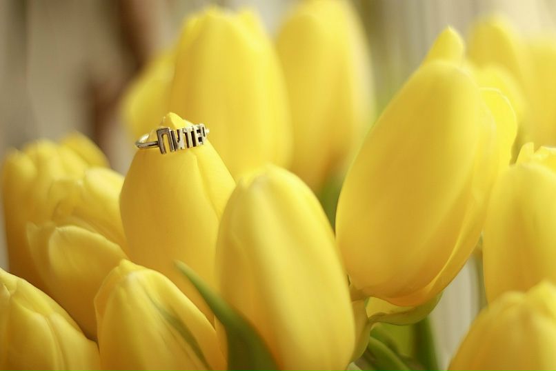 Дарья Сургутова | Санкт-Петербург