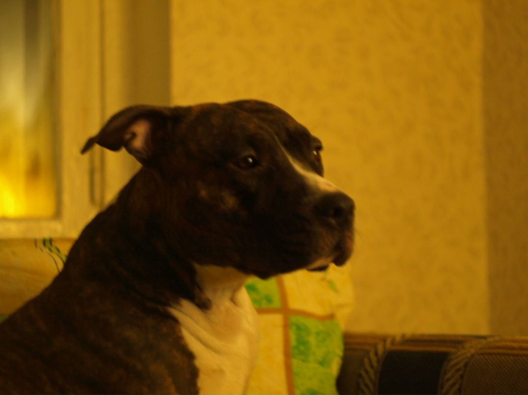 Jorj Dyachek | Одесса