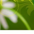 №84, Дубовик Наталия, 29 лет, Сыктывкар №84, Дубовик Наталия, 29 лет, Сыктывкар