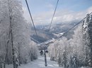Фотография Светлана Шуваракова