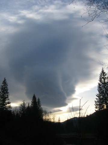 Наталія Тацишин-Войчишин | Ивано-Франковск