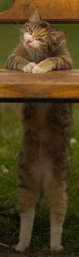 Григорий Балашов Zatvornick | Ковров