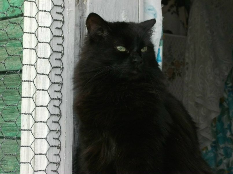 Сергей Паршин ZVEZDEC | Томилино