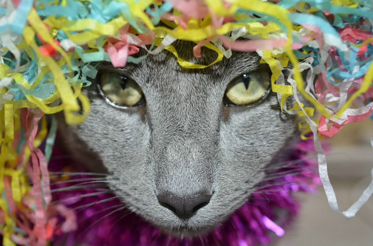 Анастасия Ушакова | 