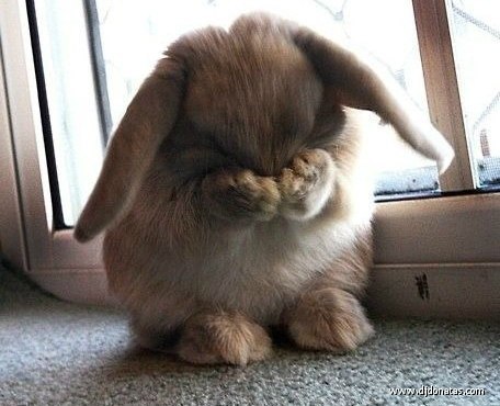 №14, Александр Чесалин №14, Александр Чесалин