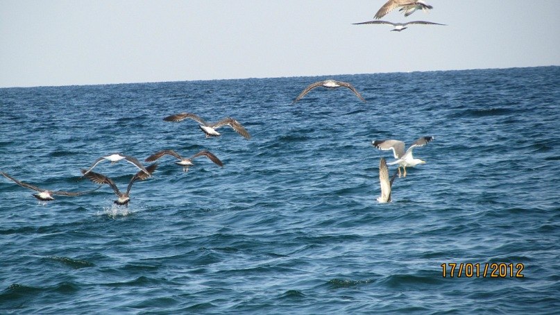 Светлана Александрова | Berlin