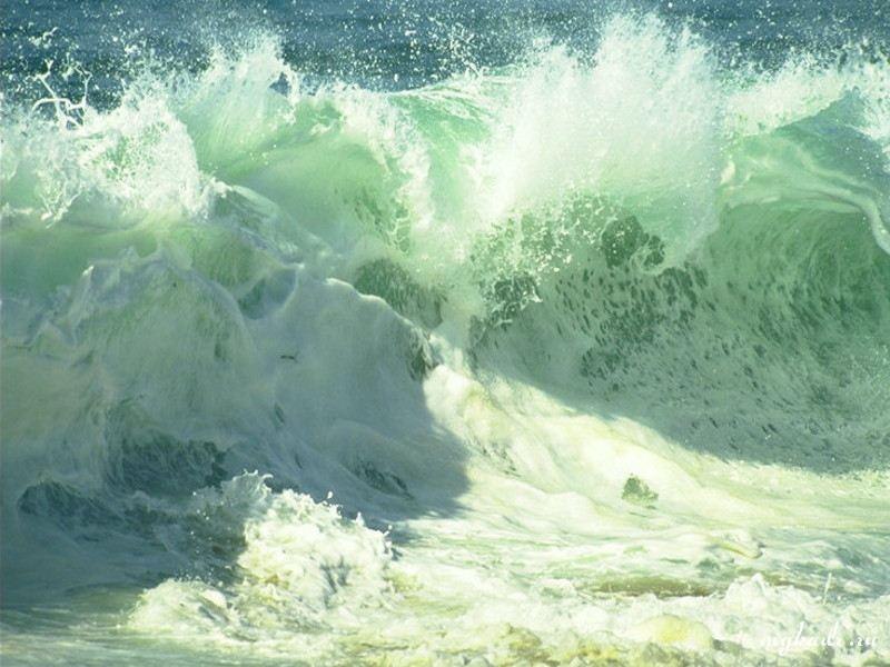 Елена Соколова | Москва