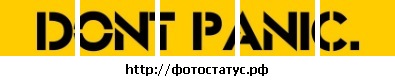 №4, Дима Руденко, 35 лет №4, Дима Руденко, 35 лет
