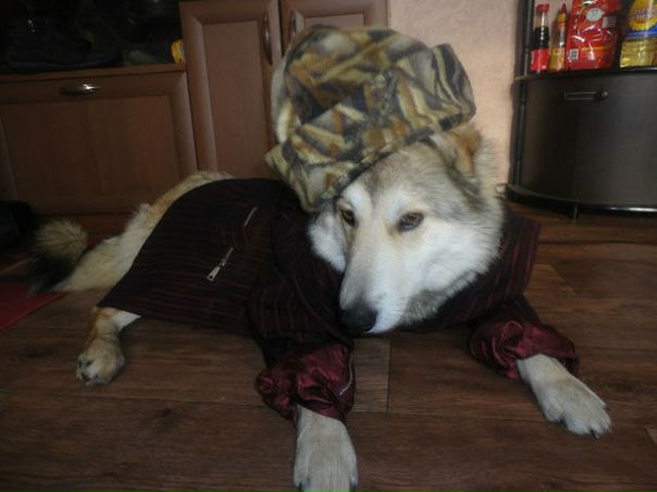 №78, София Безматерных, Благовещенск №78, София Безматерных, Благовещенск