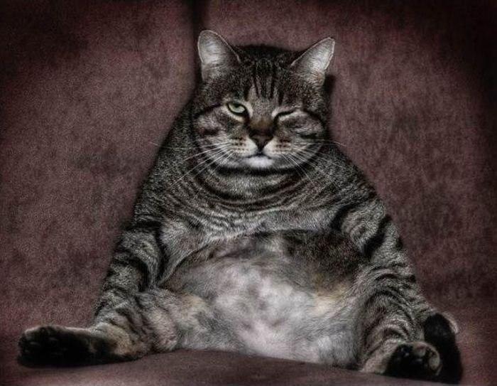 Антон Левинский | 