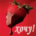 №81, Алёнка Анищенко, Харьков №81, Алёнка Анищенко, Харьков