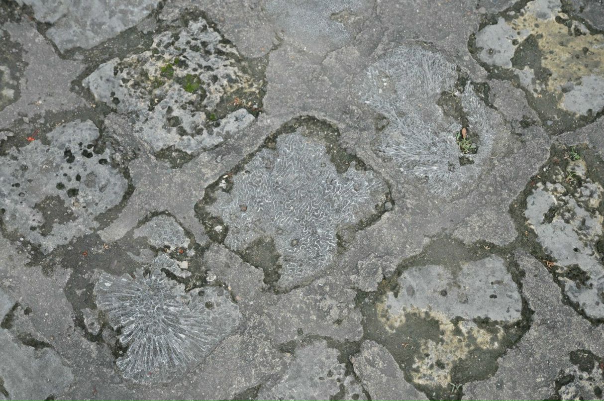 Алексей Куликов | Москва