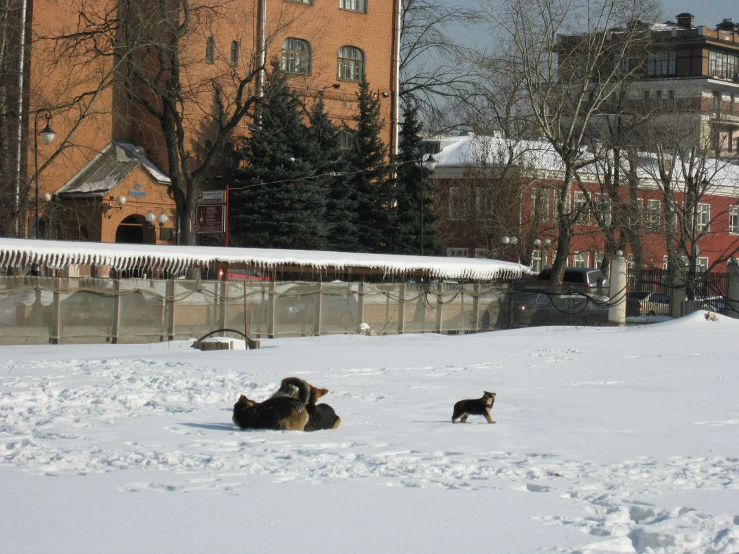 Роман Сычев | Иркутск