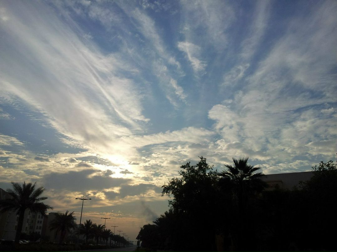 Юрий Джедай | Новосибирск