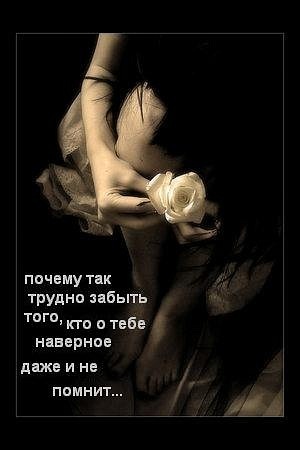 №80, Алие Krovavaya, Бахчисарай №80, Алие Krovavaya, Бахчисарай