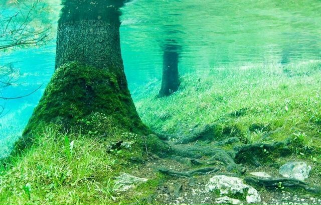 №22, Владислав Первушин, Одесса №22, Владислав Первушин, Одесса