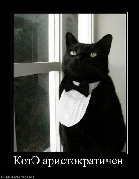 №3, Никита Некипелов, Самара №3, Никита Некипелов, Самара