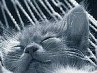 Таня Максимишина | Винница