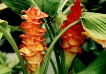 №84, Павел Мармутов, 39 лет, Новокубанск №84, Павел Мармутов, 39 лет, Новокубанск