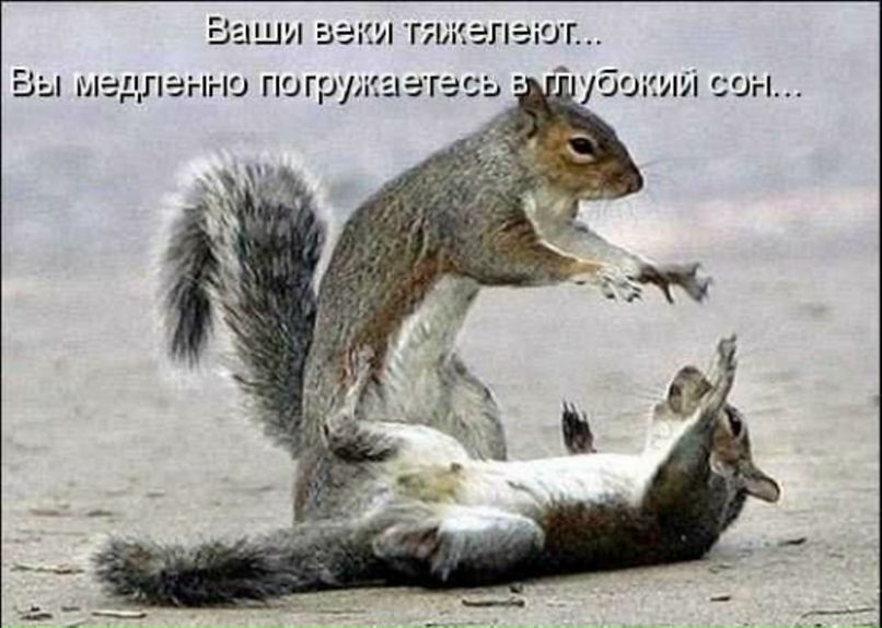 Дарья Анисочкина | Великий Новгород