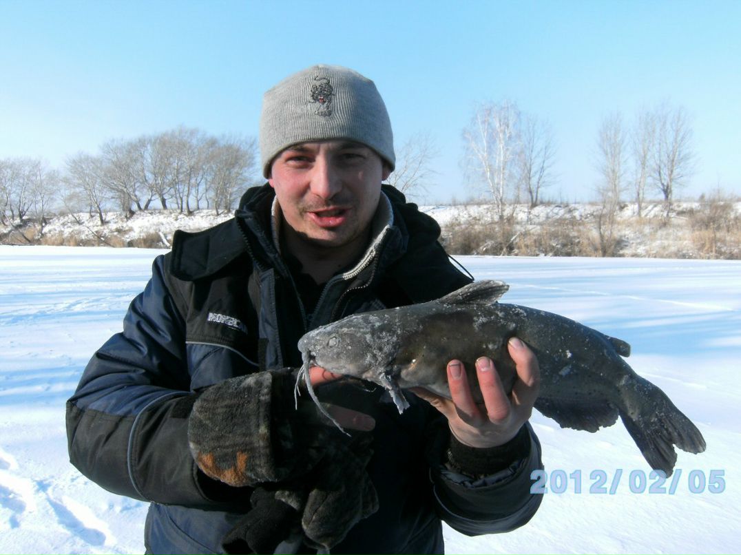 Алексей Гудин | Курган