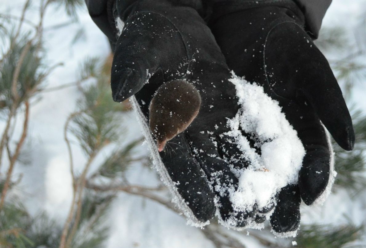 Моя Знакомая | Санкт-Петербург