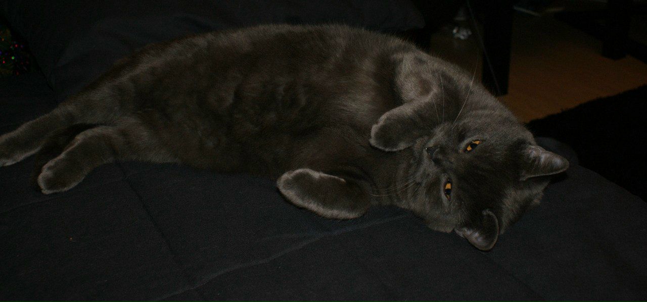 Оксана Кострицкая | Санкт-Петербург