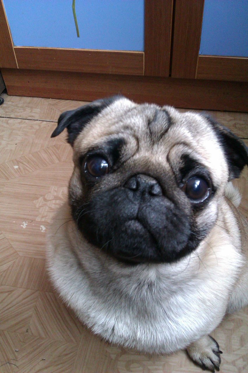 Просто Тема | Санкт-Петербург