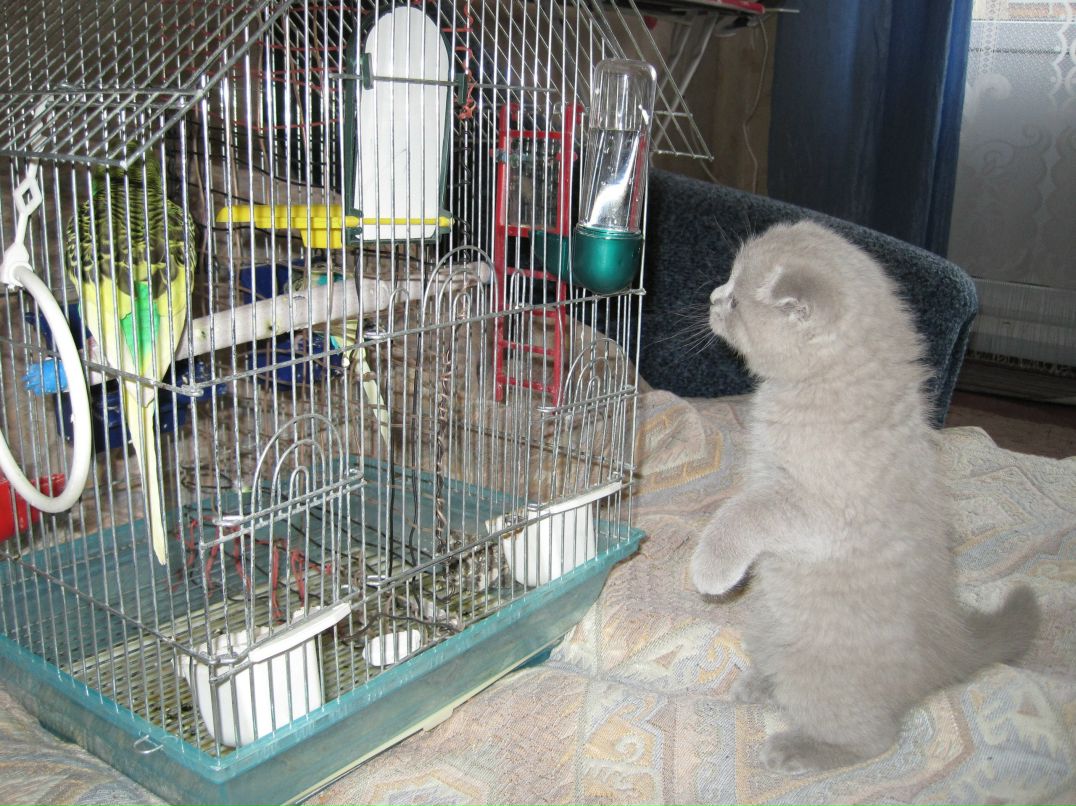 Маша Могилевец | Грязи