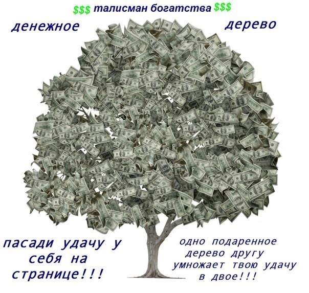 Юлия Балабан | Жмеринка