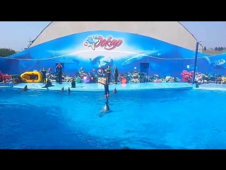 Супер трюк мальчика с дельфином / Super Stunt boy with dolphin