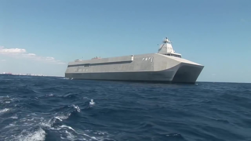 Sea Fighter ( FSF