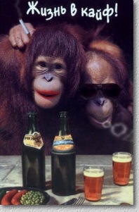 №13, Иван Ерёменко, Мелитополь №13, Иван Ерёменко, Мелитополь