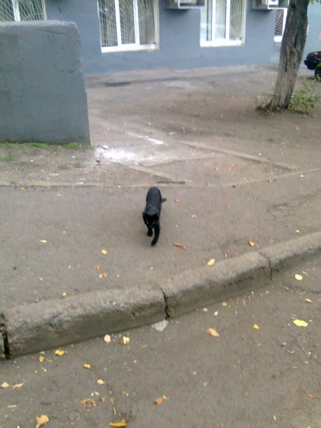 №54, Елена Осипова, 34 года, Уфа №54, Елена Осипова, 34 года, Уфа