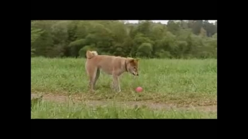 Фильм История Мари и трёх