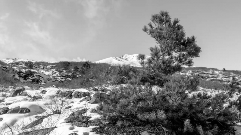 Black White on Mount