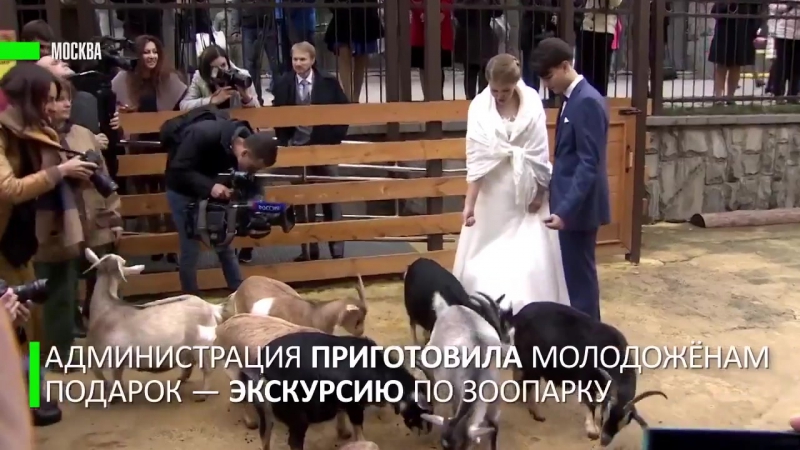 В Московском зоопарке состоялась первая
