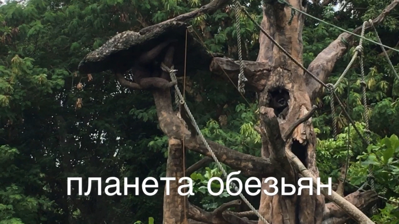 Safari Marine Park на