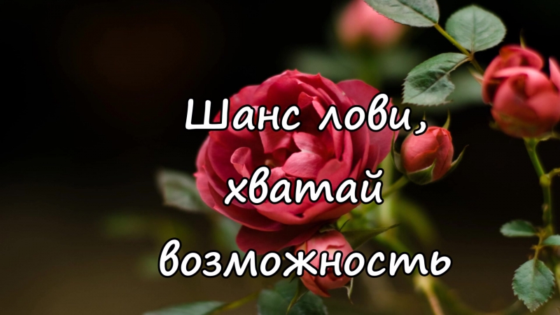 Гладкая