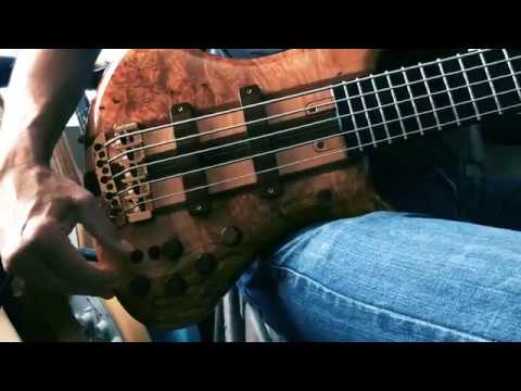 Jerzy Drozd Obsession Signature 5 String Bass