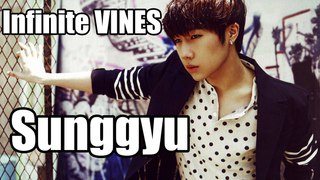 Infinite Vines - Sunggyu