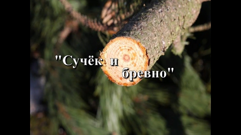 Сучёк и