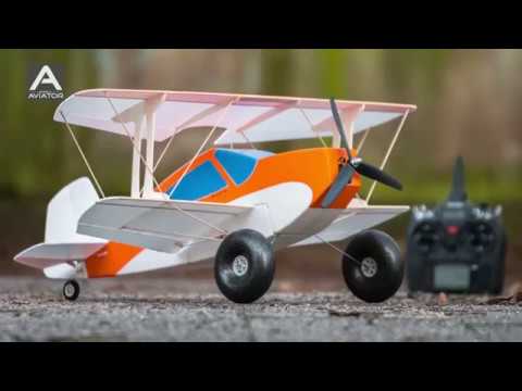 Pinkus Doppelbock Downloadplanmodell von Hilmar Lange aus Modell AVIATOR 05,