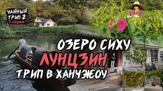 Зеленый чай Лунцзин / Колодец Дракона. Озеро Сиху, трип в Ханчжоу.
