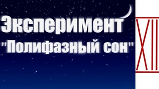 Полифазный сон