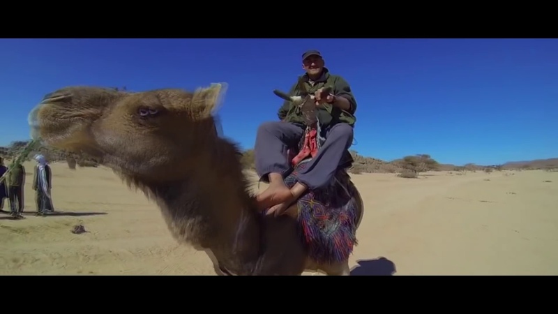Dr. Peacock Trip to Saudi Arabia ft. Dither ( Official