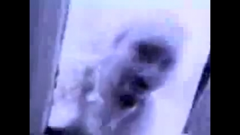 Corrosion Of Conformity (1992) Dance Of The