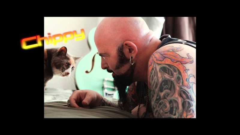 Meet Jackson Galaxys Cats (and